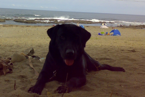 20080818433.jpg