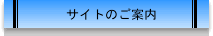 �T�C�g�̂��ē�