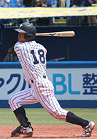 Log
