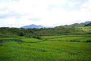 chonjebi38.jpg