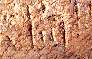 PL0219.jpg