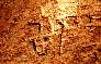 PL1007.jpg