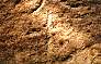 PL1045.jpg