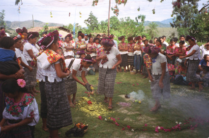 �O�A�e�}���̎ʐ^�P