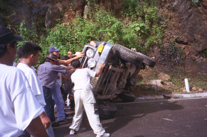 �O�A�e�}���̎ʐ^�Q