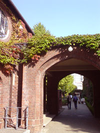 ꉹI
